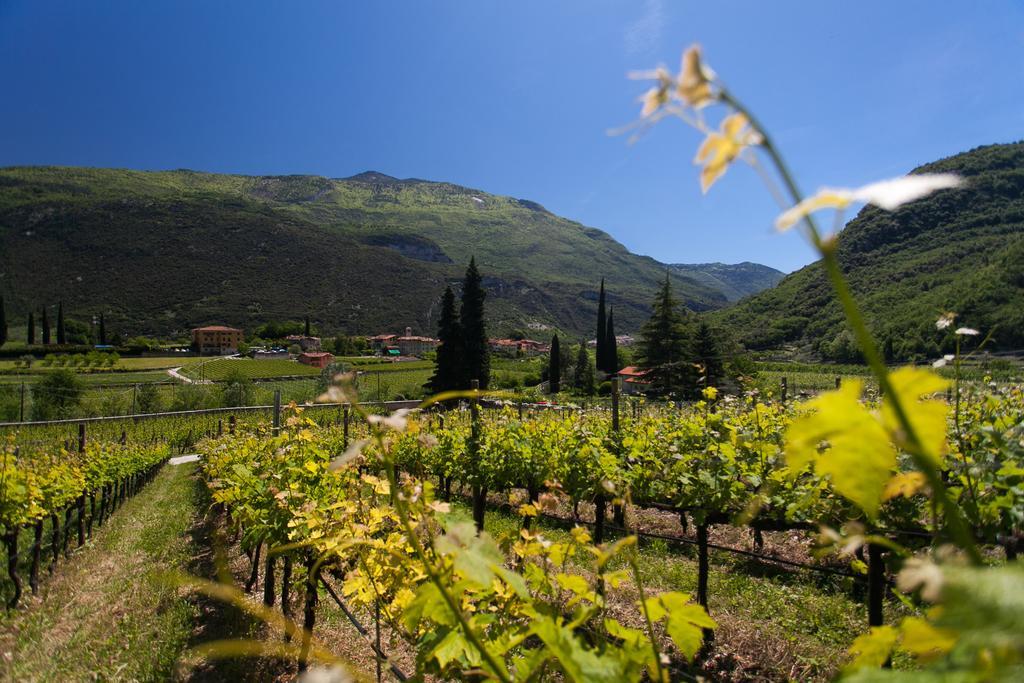 Agriturismo Maso Lizzone Dro Esterno foto