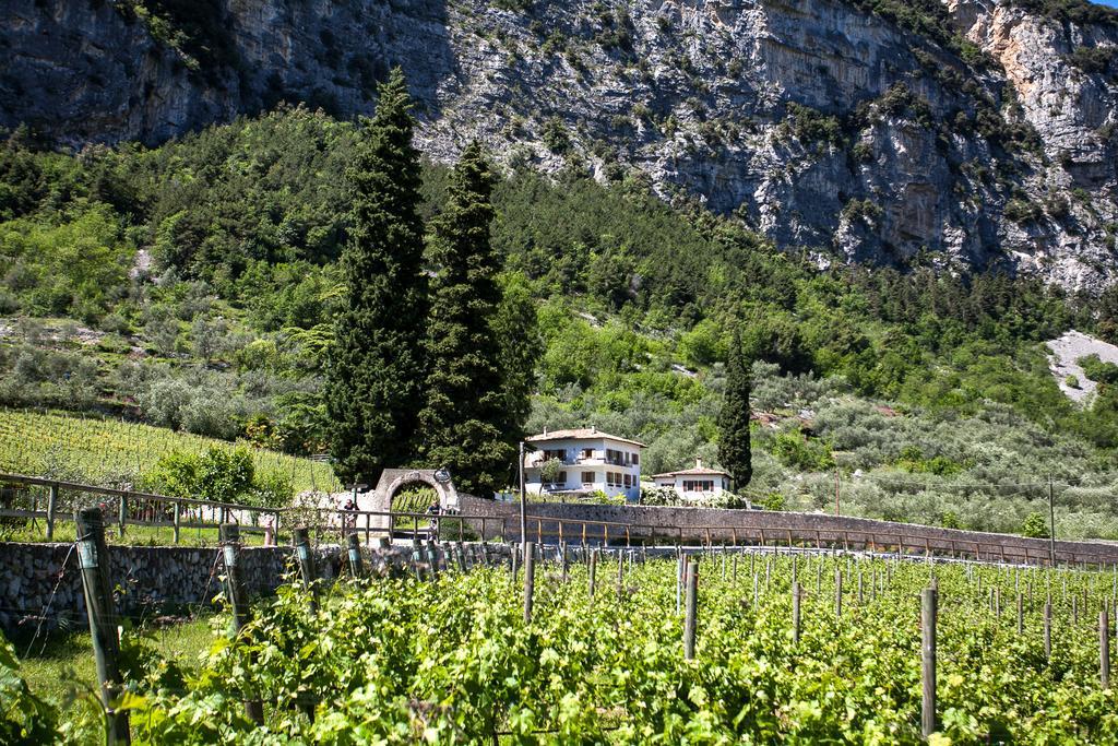 Agriturismo Maso Lizzone Dro Esterno foto